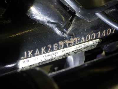 Kawasaki Z1100SPECTER 2014