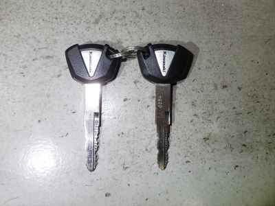 Kawasaki Z900RS 2020