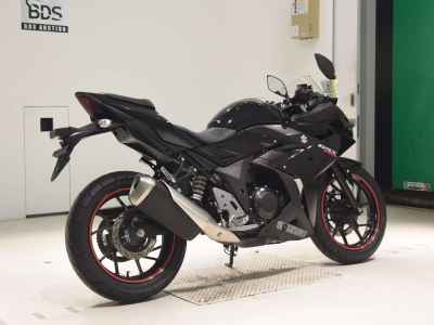 Suzuki GSX250R