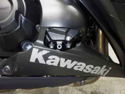 Kawasaki Ninja 1000 2019