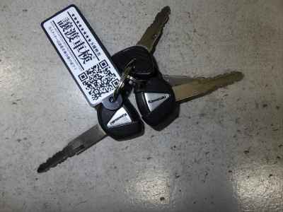 Kawasaki Ninja 1000 2019