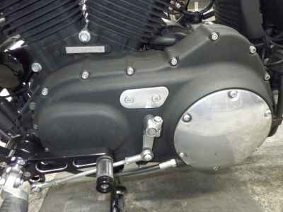 Harley-Davidson Sportster Custom XL1200C 2013