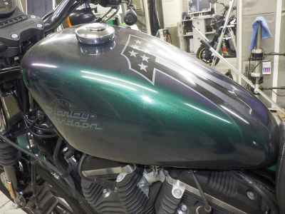 Harley-Davidson Sportster Iron XL883N 2021
