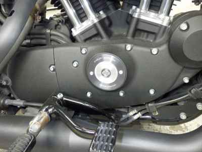 Harley-Davidson Sportster Iron XL883N 2021
