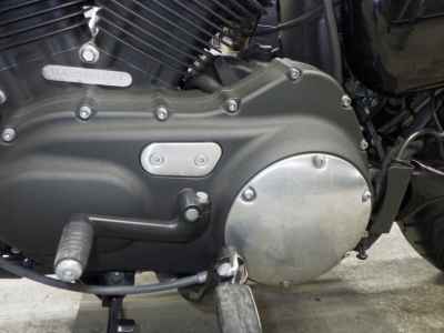 Harley-Davidson Sportster Iron XL883N 2021