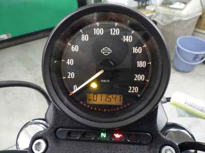 Harley-Davidson Sportster Iron XL883N 2021