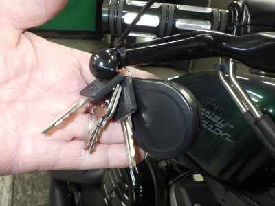 Harley-Davidson Sportster Iron XL883N 2021