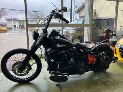 Harley-Davidson Slim FLS1580 2012