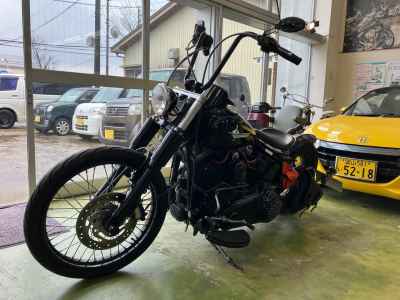 Harley-Davidson Slim FLS1580 2012