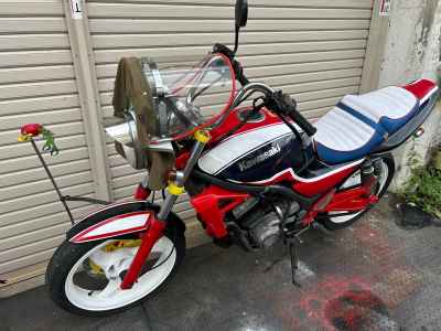 Suzuki GSX250FX