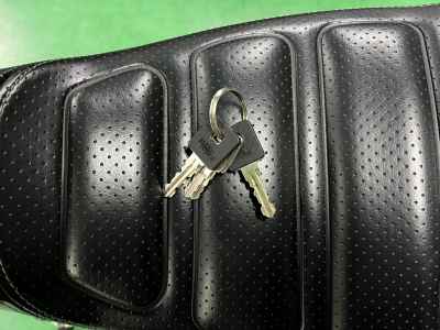 Harley-Davidson Roadster XL1200CX 2019