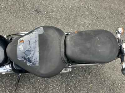 Yamaha XVS250 Drag Star