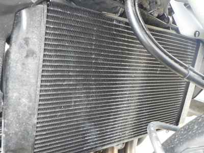 Honda CB1000 Hornet 2025