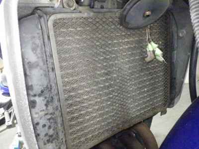 Kawasaki Balius ZR250