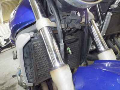 Kawasaki Balius ZR250