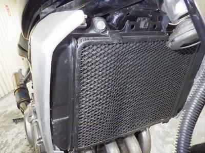 Kawasaki Balius ZR250