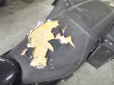 Kawasaki Eliminator 250V 2005