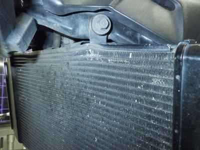 Kawasaki Z900RS 2019