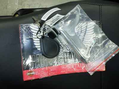 Harley-Davidson FXLRST1920 2025