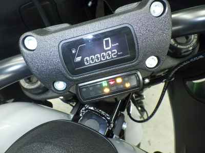 Harley-Davidson FXLRST1920 2025