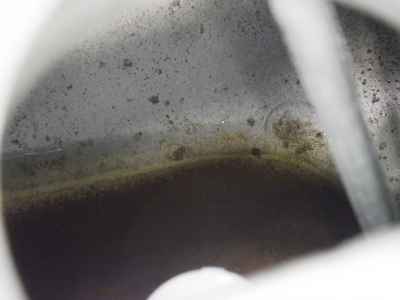 KTM 890 Duke GP 2023