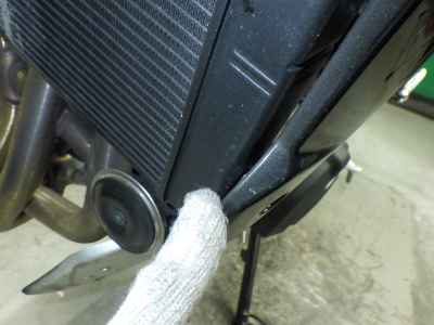 Triumph Trident 660 2024