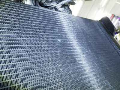 Triumph Trident 660 2024