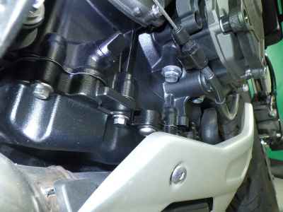 Triumph Trident 660 2024