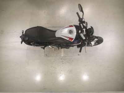 Triumph Trident 660 2024