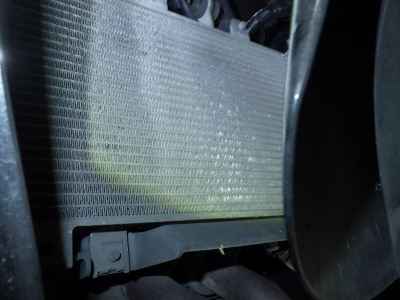 Kawasaki Ninja 250 2019