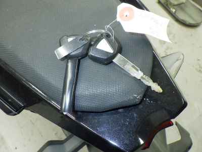 Kawasaki Ninja 250 2019