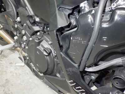 Kawasaki Ninja 250 2021