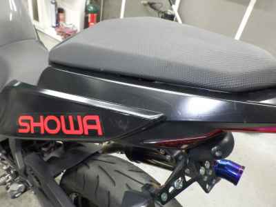 Kawasaki Ninja 250 2021