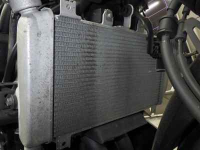 Kawasaki Ninja 250 2021