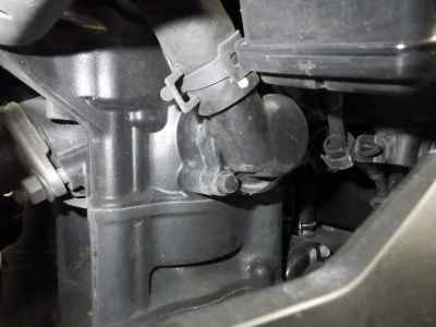 Kawasaki Ninja 250 2021