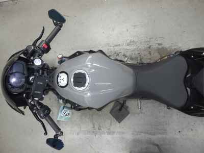 Kawasaki Ninja 250 2021