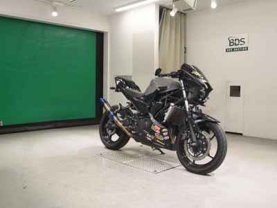 Kawasaki Ninja 250 2021