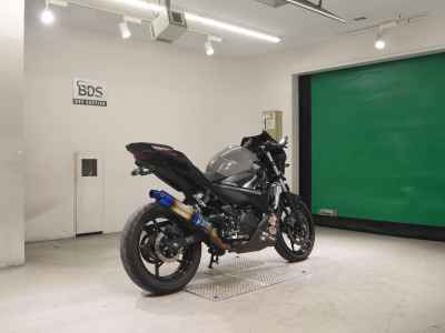 Kawasaki Ninja 250 2021