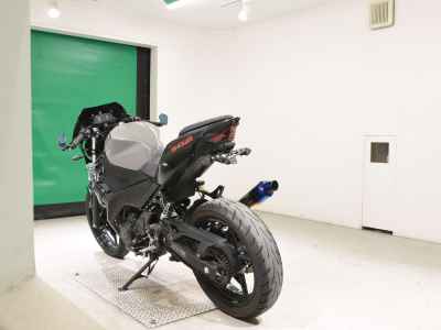 Kawasaki Ninja 250 2021