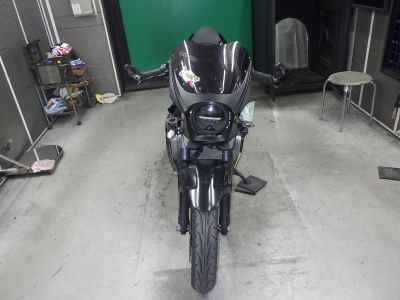 Kawasaki Ninja 250 2021