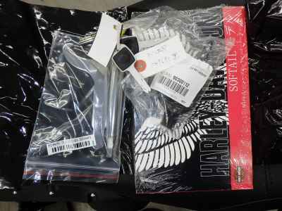 Harley-Davidson FXLRST1920 2025