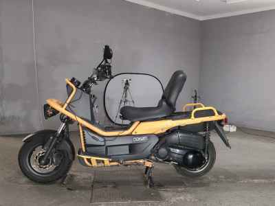 Honda PS250 Big Ruckus 2005
