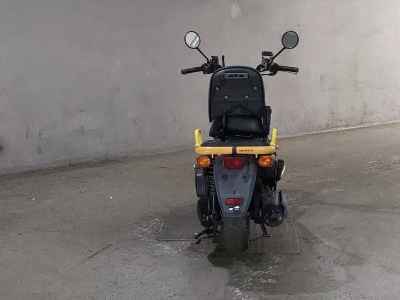 Honda PS250 Big Ruckus 2005