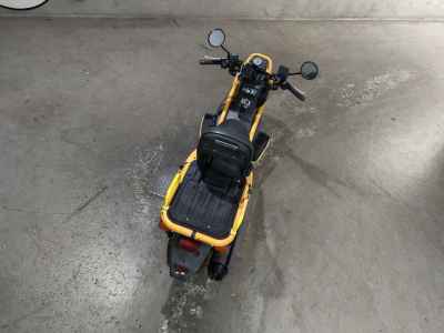 Honda PS250 Big Ruckus 2005