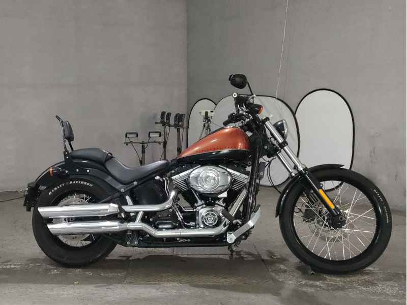 Harley-Davidson Blackline FXS1580 2011