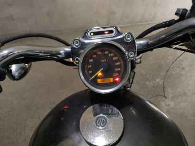 Harley-Davidson Sportster Custom XL883C 2006