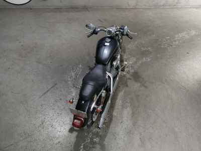 Harley-Davidson Sportster Custom XL883C 2006