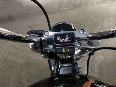 Harley-Davidson Softail FXST1750 2020