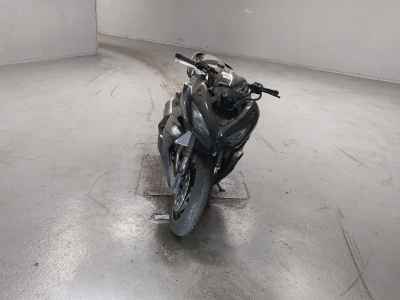 Kawasaki Ninja 1000 2017