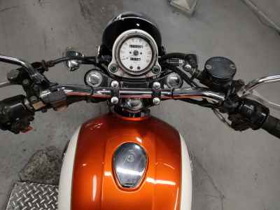 Kawasaki Estrella RS